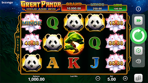 Great Panda Hold and Win Slot Features Playing Great Panda Hold and Win for Real Money