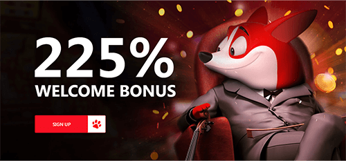 Red Dog Casino Bonuses 