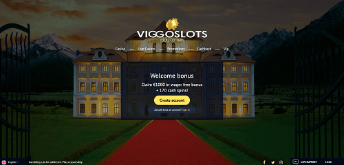 Viggoslots Casino Bonuses 