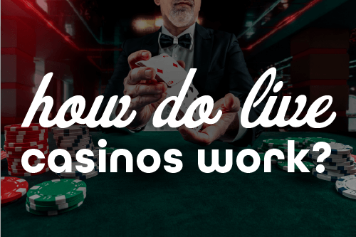 Choosing the Right Live Casino